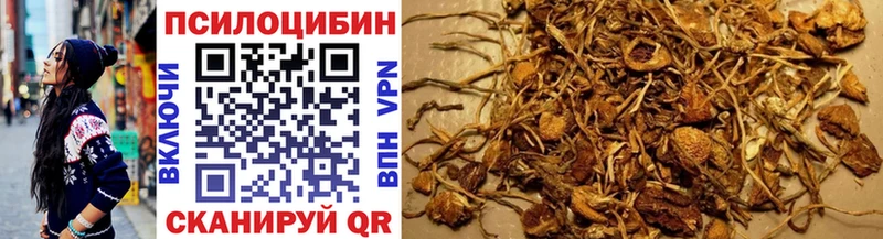 omg маркетплейс Ирбит Галлюциногенные грибы GOLDEN TEACHER